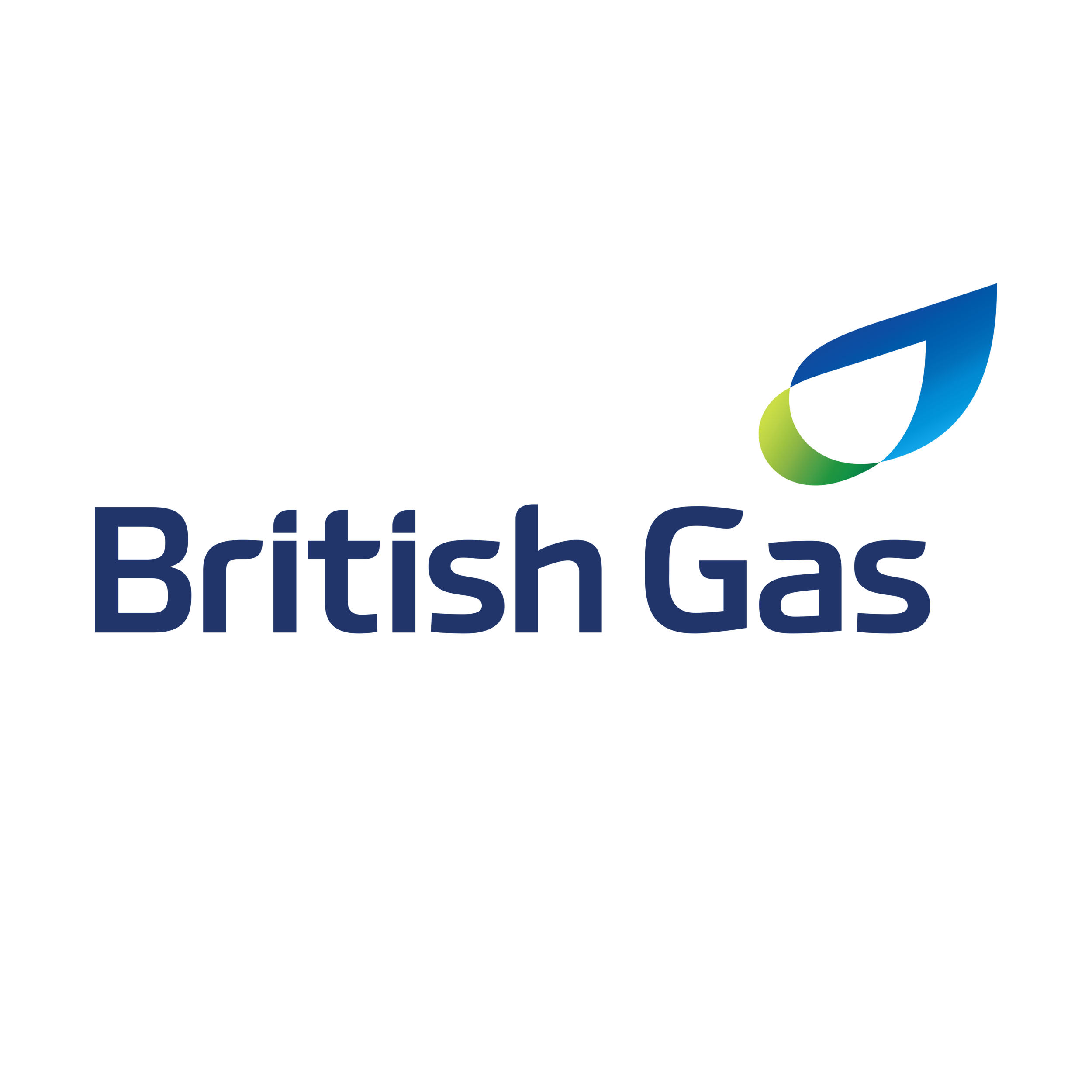 British Gas